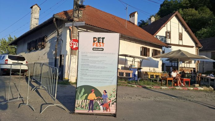 Pet Fest 2025, festival animale de companie, Petfriendly, Cisnădioara, Cetatea Cisnădioara, Sibiu, festival pet, primă ediție, intrare liberă, concerte Direcția 5, DJ Cipi Hampu, DJ Alex Zara, zone expozanți pet, accesoriipentrucâini, dresaj demonstrativ, prezentări rase, cursuri pentru animale, concursuri copii, zone socializare animale, relaxare pet, Shopping City Sibiu, premii, Roata lui Patrocle, SPOT aplicație, stand instagramabil, podium pentru animale, participanți familie, festival outdoor, comunitate, iubitori de animale, spațiu verde, turism local, ONG HEART, Casa de Cultură Cisnădie, Primăria Cisnădie, activare pet friendly, vibe festival, prietenii animale, pet care, produs local, vibe summer festival, experiență pet, festival comunitar, pet expo, muzică live, copil și animal, festival familial, entertainment Sibiu, animale VIP, catel fest, pisici, pet show, pet weekend, pet lovers, festival cultural, natură și animale, festival outdoor Sibiu, relaxare în aer liber, promisiune anuală, lansare tradiție, responsabilitate animală, social pet, microfestival, energie bună, timp de calitate, entertainment families, festival local, comunitate activă, eveniment pet, frumos local, spirit civic, animale fericite, festival pet friendly, Peluși și stăpâni, festival cai, pet friendly activități, eveniment gratuit, festival sensibil, animale comunitate, socializare pet, entertainment rural, festival de suflet.
